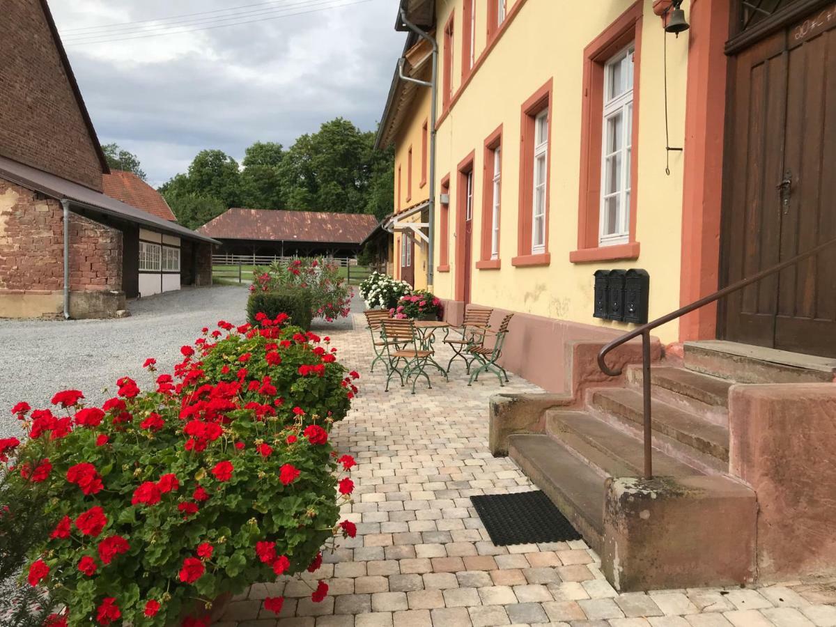 Elegantes Gaesteapartment Verano In Schloss Und Hofgut Langenzell Wiesenbach Екстериор снимка